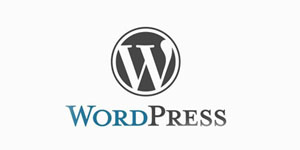 wordpress博客网站程序