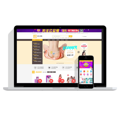 【带手机】ecshop成人用品最新网站商城源码模板带微信分销