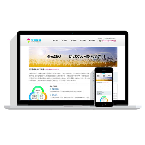 【自适应】SEO服务公司网站织梦模板