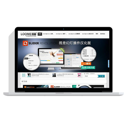 WordPress主题软件插件源码模板下载站汉化优化版免费主题