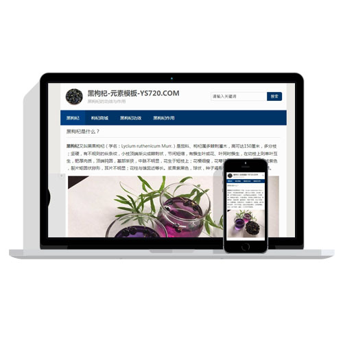 【自适应】黑枸杞博客新闻资讯SEO宣传推广z-blog网站模板源码
