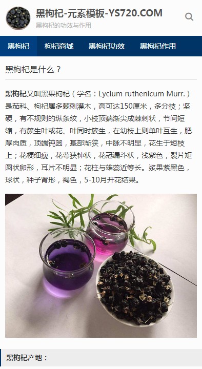 【自适应】黑枸杞博客新闻资讯SEO宣传推广z-blog网站模板源码