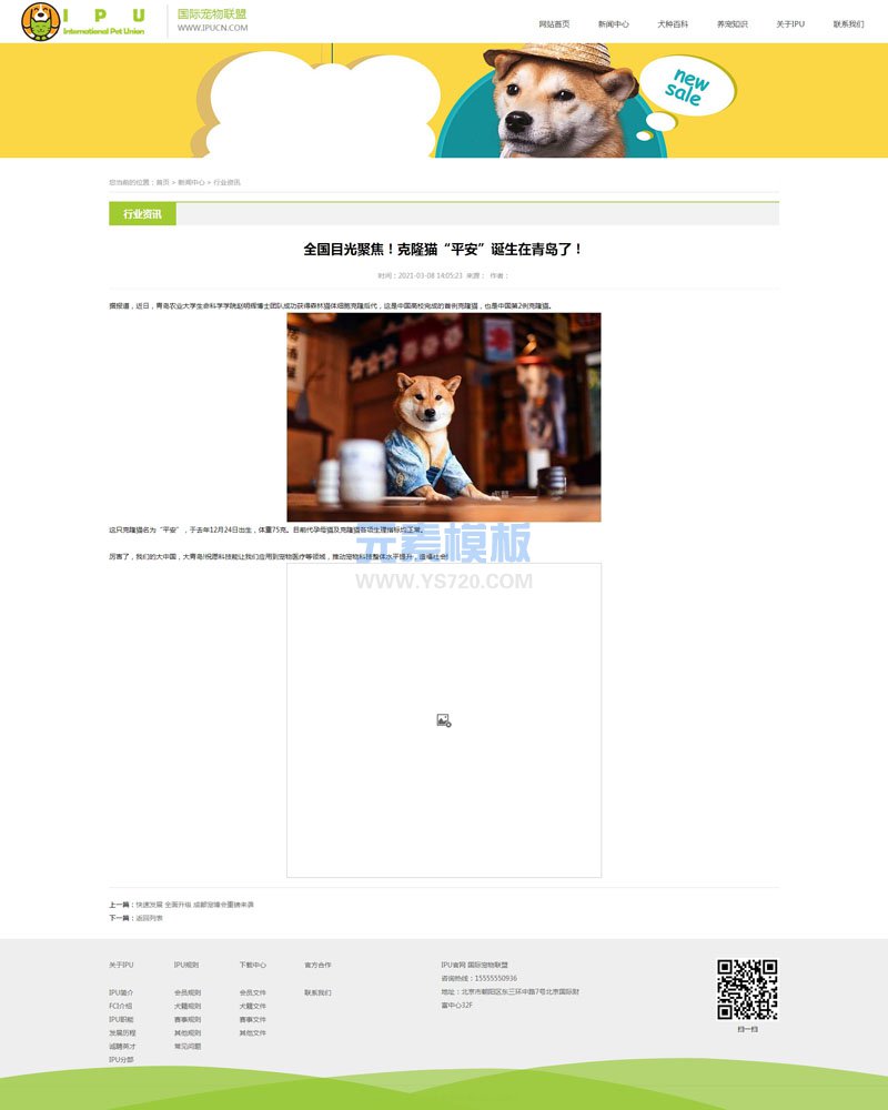 【自适应】绿色宠物血统查询公司企业帝国cms网站源码模板
