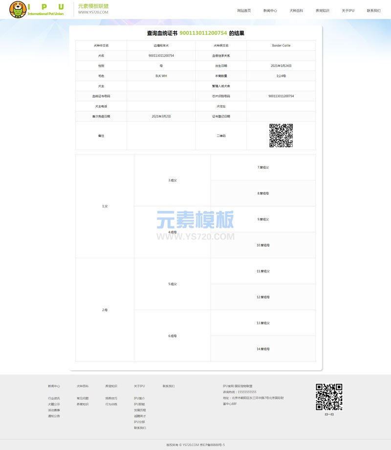 【自适应】绿色宠物血统查询公司企业帝国cms网站源码模板
